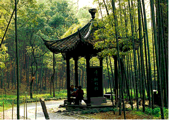 hth.com(中国)官方网站