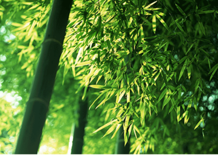 hth.com(中国)官方网站